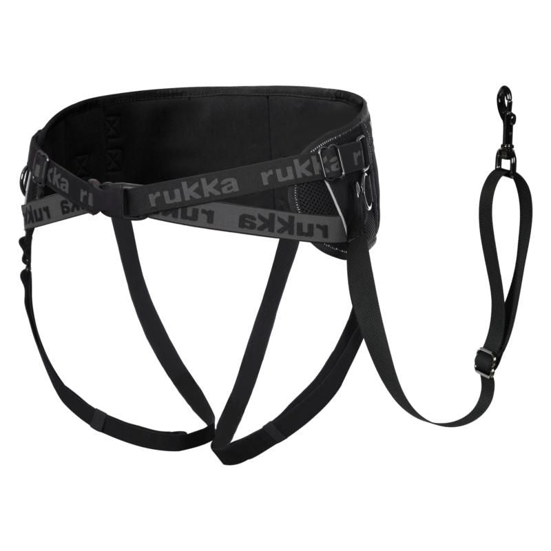 Load image into Gallery viewer, RUNNING BELT
