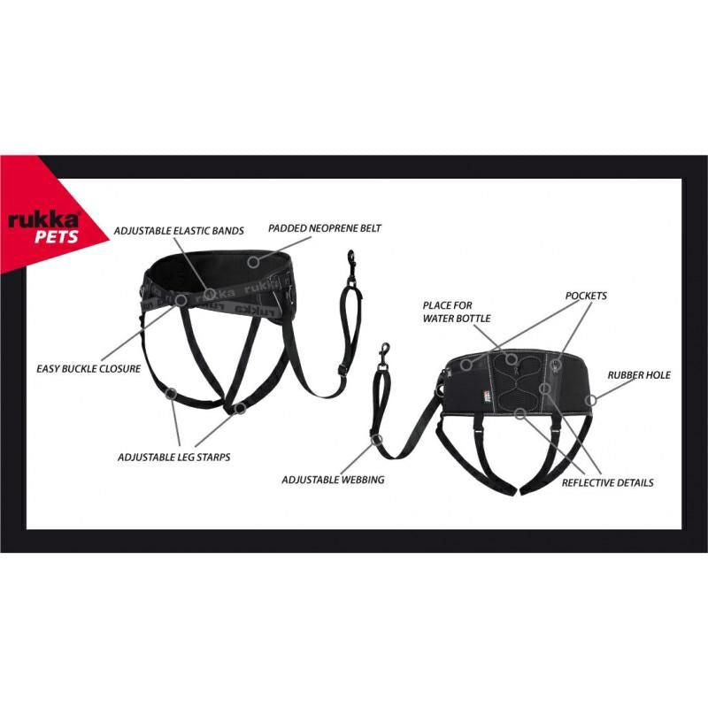 Load image into Gallery viewer, RUNNING BELT
